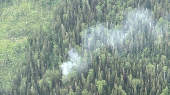 А это пожар, который обнаружили на малой площади. Причина&nbsp;— гроза | Источник: предоставлено Сергеем 