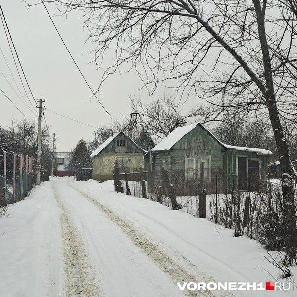 Источник: Алёна Воропаева / Voronezh1.ru