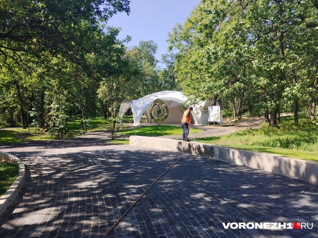 Источник: Дмитрий Волгин / Voronezh1.ru