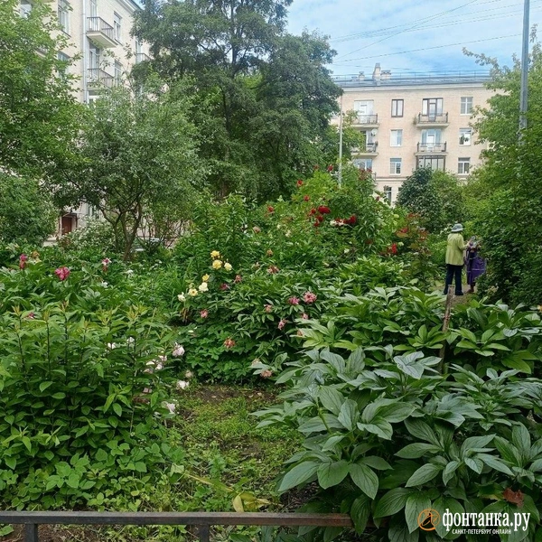 Источник: Ирина Корбат / FONTANKA.RU