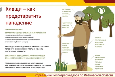 Клещи в Ивановской области: 43 укуса и рекомендации