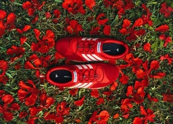 Кусочек Карибов: Bad Bunny посвятил новую коллаборацию с adidas родному Пуэрто-Рико