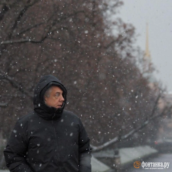 Источник: Михаил Огнев / FONTANKA.RU 