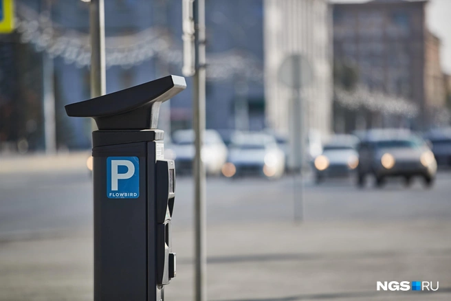 Новые зоны будут работать в платном режиме с 07:00 до 22:00, кроме воскресенья и государственных праздников | Источник: Александр Ощепков / NGS.RU