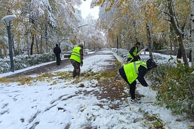 Первый снегопад обрушился на Сургут