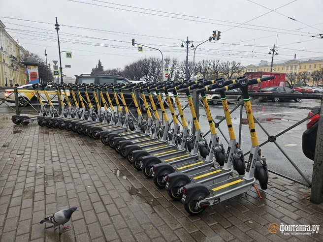 Самокаты вернулись в Петербург. Удаленных из центра перебросят в ближайшую Ленобласть | Источник: Андрей Бок / «Фонтанка.ру»