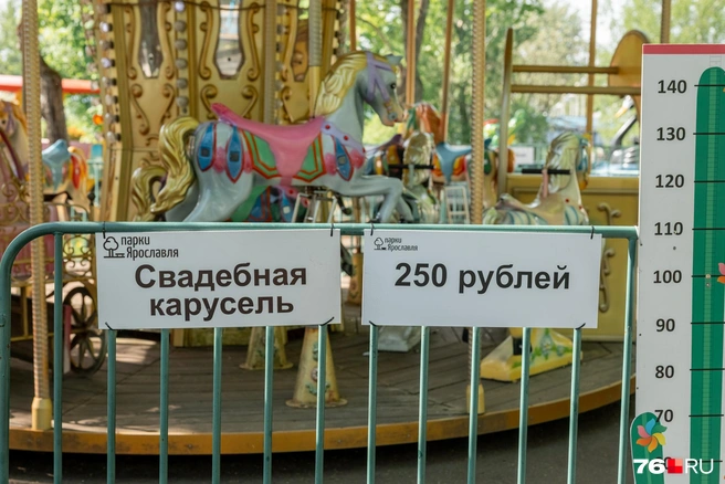 Прокатиться на «Свадебной карусели» можно малышам ростом от 90 до 140 сантиметров | Источник: Александр Куренной / 76.RU