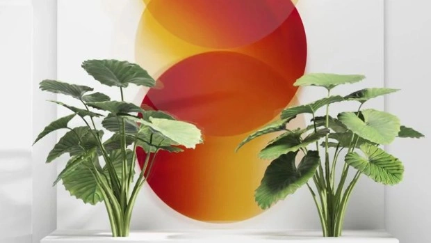 The Green Life: «зеленая» инсталляция Сабин Марселис для Rinascente