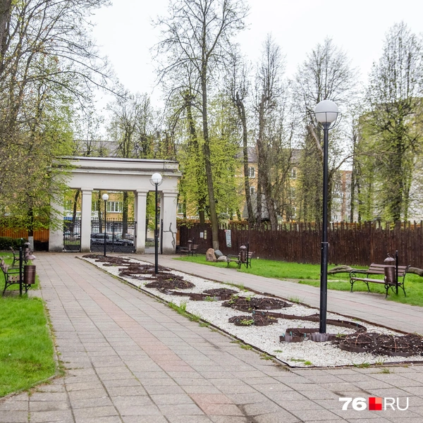 На территории парка можно будет заниматься со своим инвентарем | Источник: Кирилл Поверинов / 76.RU