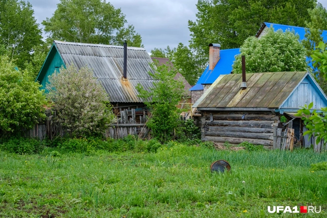 Деревенская жизнь | Источник: Булат Салихов / UFA1.RU