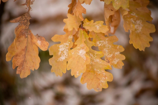 Источник: Лилия Гарипова / Vk.com