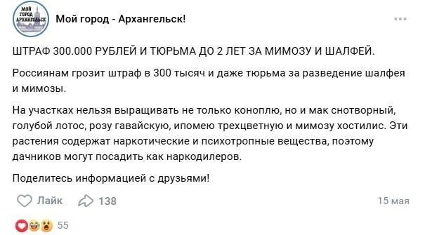 Посты с похожим содержанием распространяли в региональных пабликах | Источник: Vk.com
