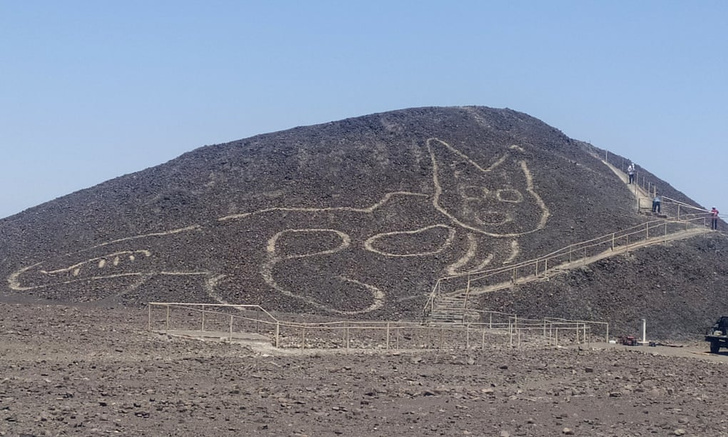 В Перу обнаружили геоглиф в виде кошки