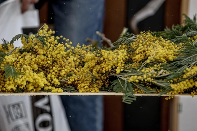 Какая погода будет в Воронежской области на 8 Марта