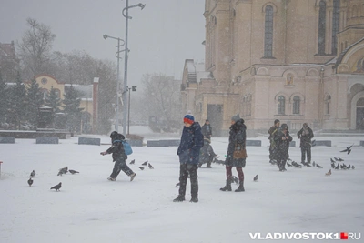 Морозы и школа: правила для Ярославской области