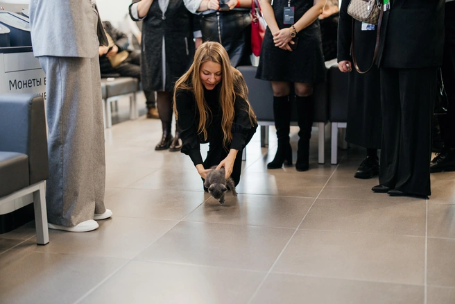 По традиции на новоселье запустили котика | Источник: Ксения Зимина