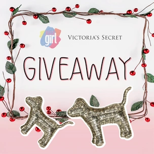 Giveaway: выиграй собачку PINK от Victoria's Secret