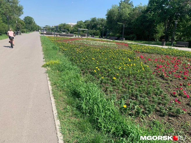 Эта клумба более приближена к образцу на эскизе | Источник: Полина Котышева / MGORSK.RU