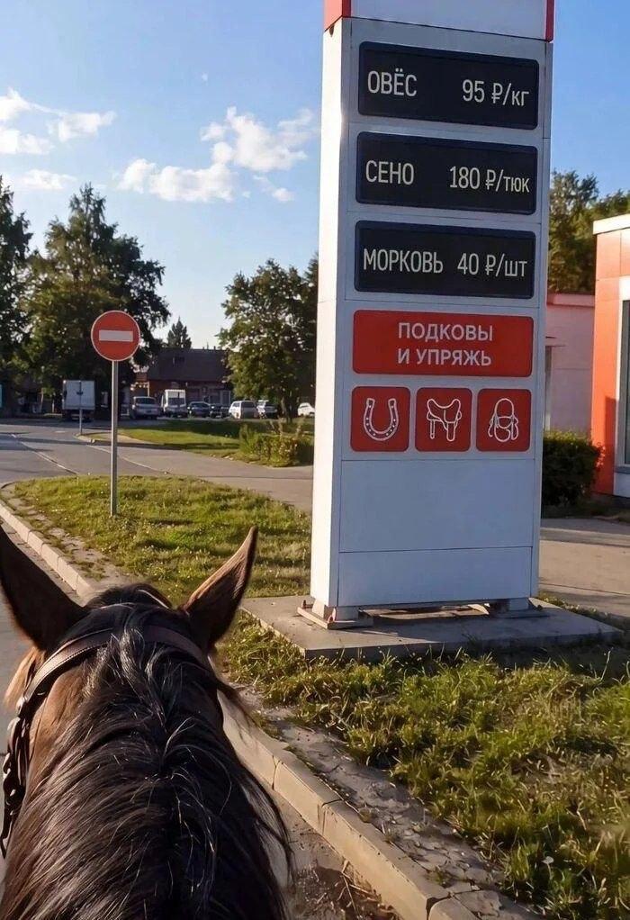 И такое вот :-) Здравствуйте, уважаемые, Приятного, времени, суток