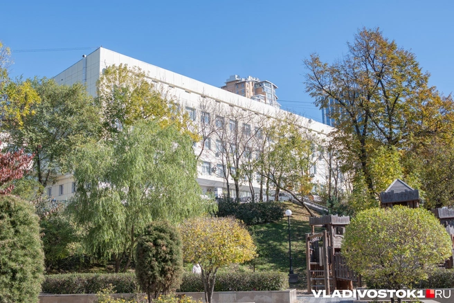Источник: Елена Буйвол / VLADIVOSTOK1.RU