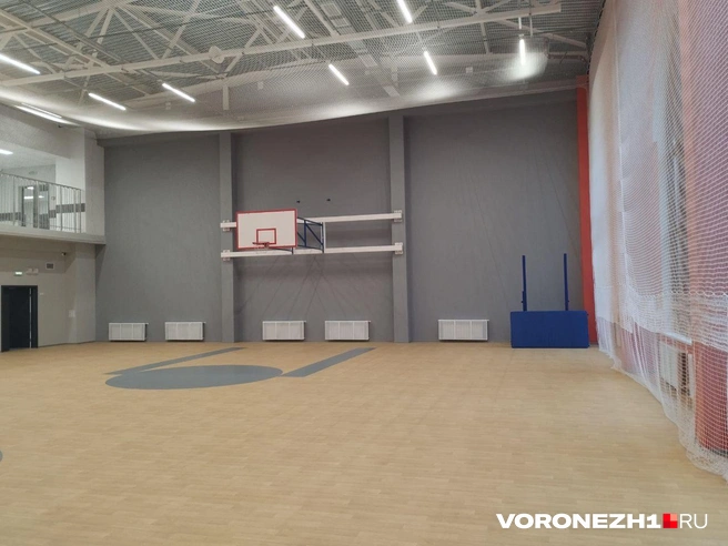 Источник: Дмитрий Волгин / Voronezh1.ru