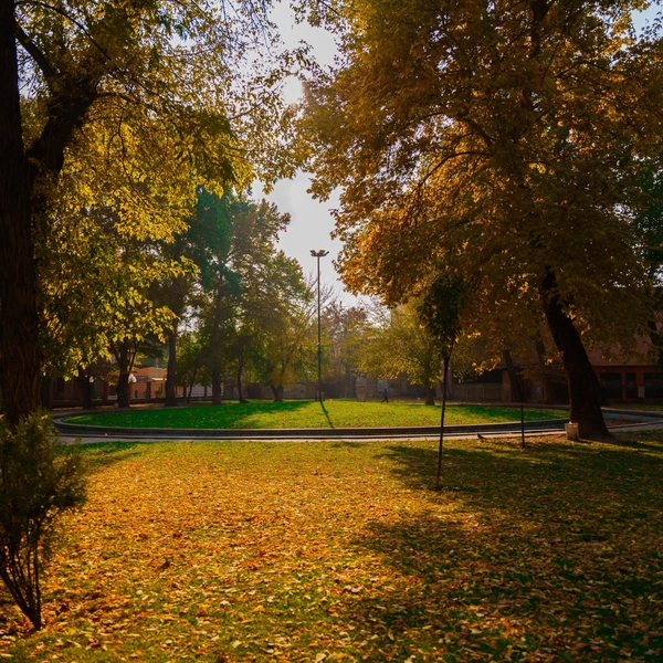 Источник: Комитет по туризму Армении