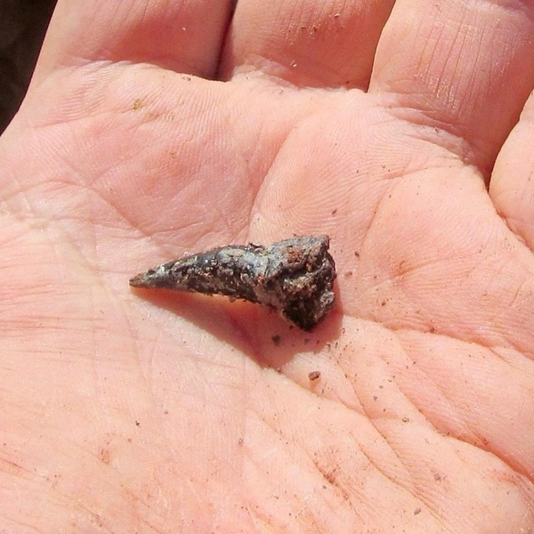 Источник: Ю. Сучкова, Нижегородский музей-заповедник / Vk.com