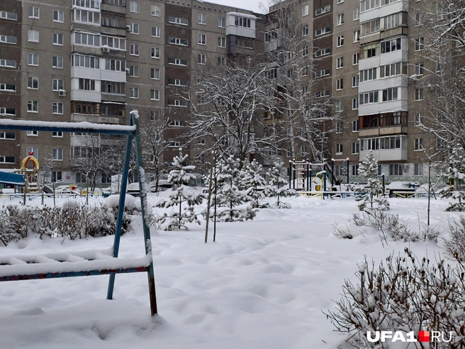 В этом дворе елок слишком много | Источник: Булат Салихов / UFA1.RU