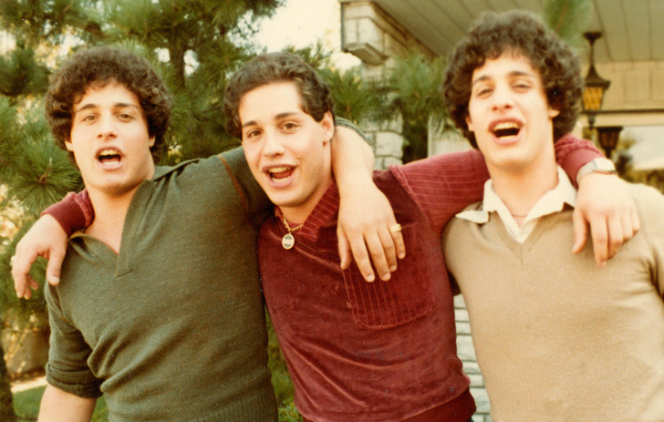 Фото №8 - Зита, Гита и Дэвид: как три брата-близнеца, разделенные во имя науки, стали мировой сенсацией