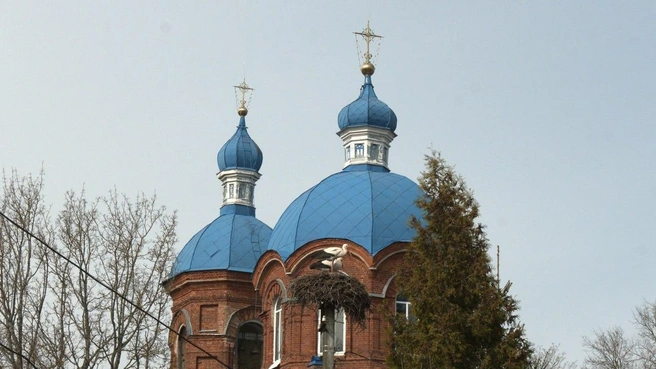 Источник: Павел Глазков / «Каждой твари по паре»