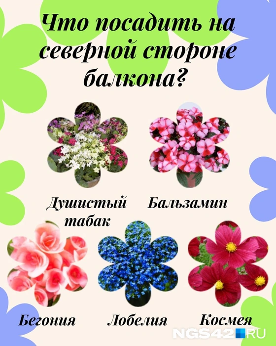 Источник: Татьяна Ирискина / NGS42.RU