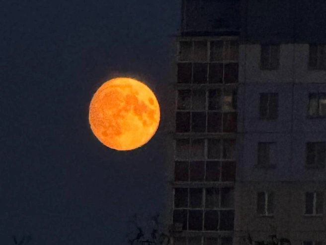 Луну лучше разглядывать вдали от фонарей, но в этот раз её можно было увидеть и в черте города. | Источник: читатель 74.RU
