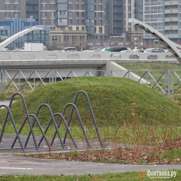 Источник: Михаил Огнев / «Фонтанка.ру»