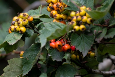 Погода в Приморье 26 марта: ветер, дождь и туман