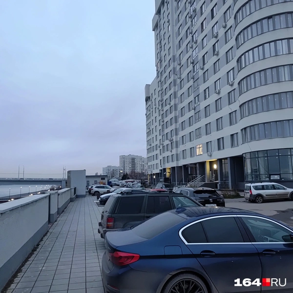 Источник: Сергей Гендин / 164.RU