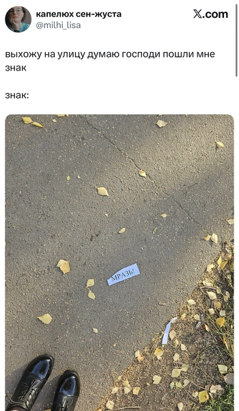 Источник: X (Twitter)