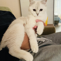 Аватарка Наталья