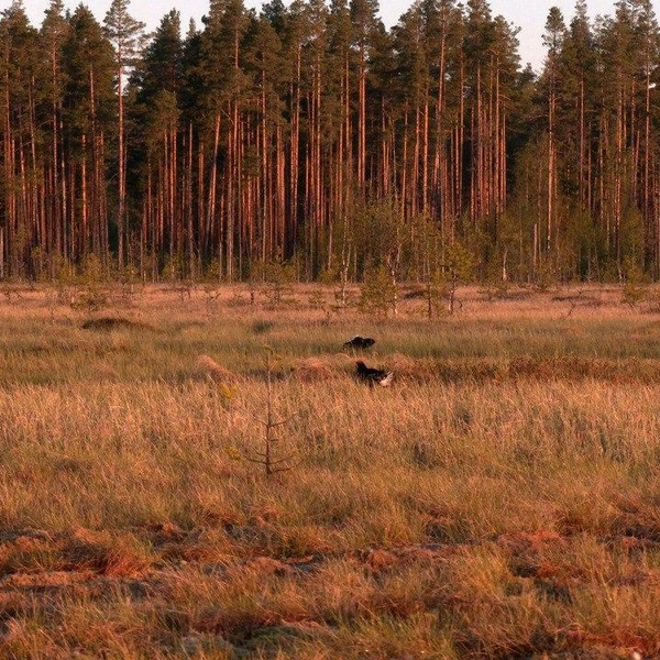 Источник: Павел Глазков