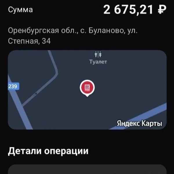 Источник: Дарья Елисейчева / 116.RU