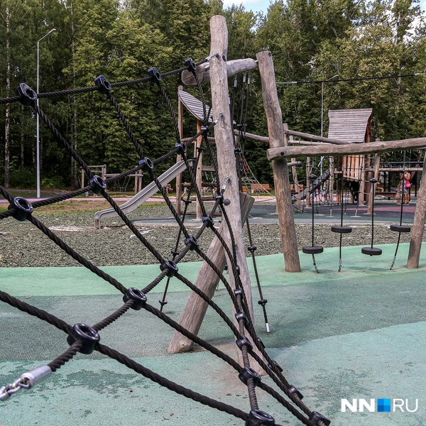 Парк находится в месте исторического произрастания дубрав | Источник: Наталья Бурухина / NN.RU