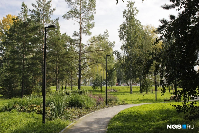 Дорожки парка «Арена» | Источник: Стас Соколов / NGS.RU