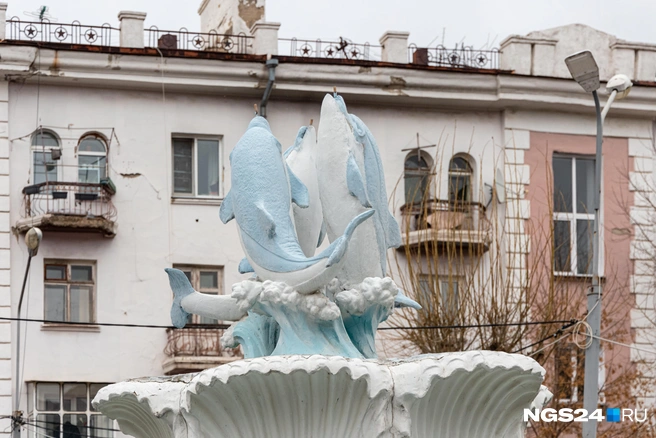 Добрые дельфины о светлом будущем | Источник: Мария Ленц / NGS24.RU