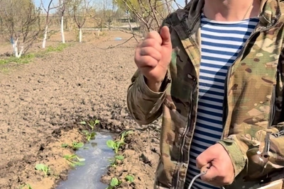 Николай Злыднев из Волгограда поделился рецептами бесплатных удобрений