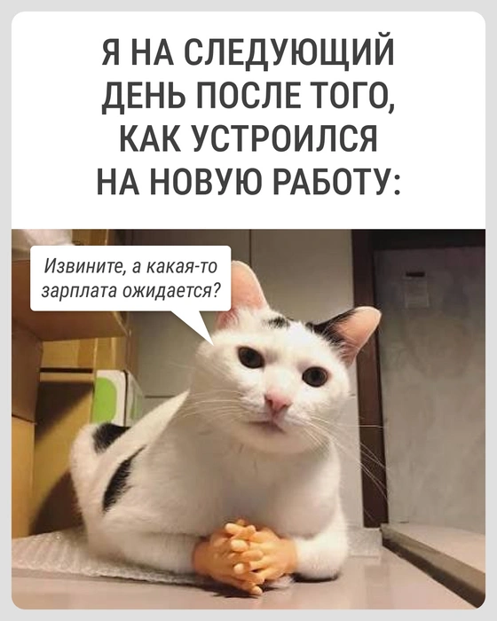 Побыстрее бы | Источник: Городские медиа