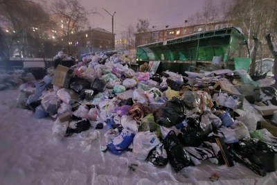 Во дворе на Уралмаше выросла свалка, которую атакуют вороны