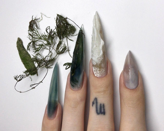 А вот и те самые водоросли, которые использовались в дизайне | Источник: ТГ-канал Марины