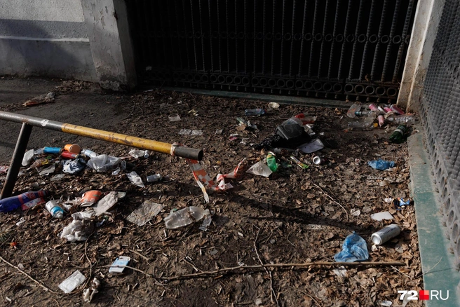 Тюменцы много мусорят. Это не голословное высказывание. Сами в этом убедитесь | Источник: Ирина Шарова / 72.RU
