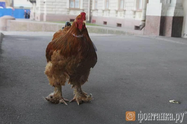 Источник: Илья Трусов