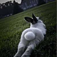 Аватарка blanche