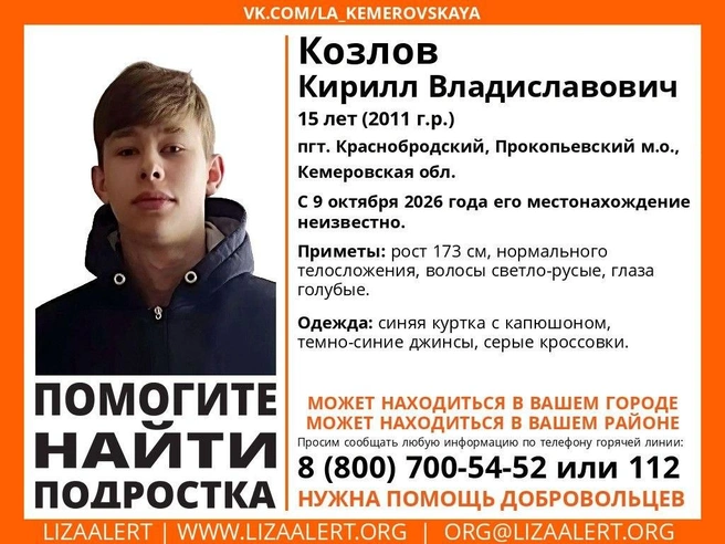 Источник: ПО «ЛизаАлерт» / t.me/lizaalert_kuzbass